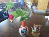 えーのー夢茶屋: miyanさんの2015年11月22日の2枚目の投稿写真