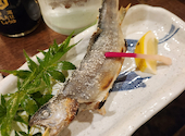 小川の魚: やっちさんの2024年11月05日の1枚目の投稿写真