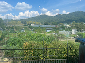 インド料理 KIRAN キラン: みろさんの2026年08月27日の3枚目の投稿写真