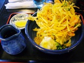 本格手打 もり家: 北摂グルメブロガーさんの2008年06月01日の1枚目の投稿写真