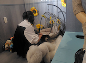 犬猫カフェ put on lap プットオンラップ 今池: アイさんの2026年08月04日の2枚目の投稿写真