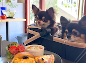 M+CAFE エムプラスカフェ: Chiroさんの2026年06月15日の1枚目の投稿写真
