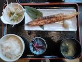 鮭のハラスの脂が旨いです。大根おろしとの相性Good！
