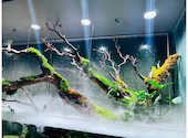 AQUA GARDEN KYOTO アクアガーデン 京都: まめさんの2025年02月04日の2枚目の投稿写真