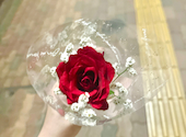 EUNP リストランテ: ちあきさんの2026年08月27日の3枚目の投稿写真