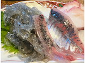 居酒屋 道 茅ヶ崎元町本店: 風来坊さんの2024年05月05日の2枚目の投稿写真