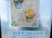 ジェラテリア カフェ Vivace: ねこさんの2026年05月30日の2枚目の投稿写真