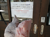 ジェラテリア カフェ Vivace: ねこさんの2026年06月30日の1枚目の投稿写真