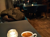 MEAL TOGETHER ROOF TERRACE ミールトゥギャザールーフテラス 枚方T-SITE店: Gさんの2025年01月21日の1枚目の投稿写真