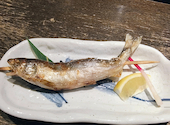 小川の魚: べいさんの2026年05月05日の2枚目の投稿写真