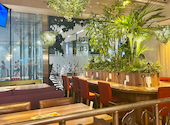ボタニカルガーデン Botanical Garden 猿カフェ 名駅ルーセントタワー店: おりんさんの2026年07月09日の2枚目の投稿写真