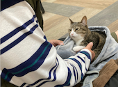 ねこ空間　チャモラ　CYAMOLA: あつもりさんの2024年03月の1枚目の投稿写真