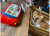 古民家彼方　レストラン＆カフェ・ドッグラン　: まぁちゃんさんの2026年09月06日の1枚目の投稿写真