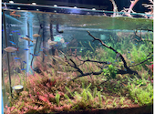 AQUA GARDEN KYOTO アクアガーデン 京都: かるみさんの2026年04月16日の2枚目の投稿写真