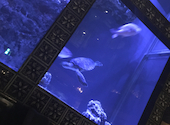 AQUA RESTAURANT&BAR LUXIS ラグシス: トモヤさんの2023年04月11日の1枚目の投稿写真