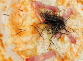 CRAFT CHEESE MARKET クラフトチーズマーケット 神戸三宮店: あきさんの2026年06月29日の2枚目の投稿写真
