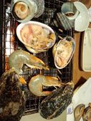 浜けん本店 広島駅南口 猿猴橋: あいどらちんさんの2011年10月16日の1枚目の投稿写真