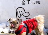 &t cafe: あゆさんの2023年11月14日の2枚目の投稿写真