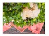 牛タン焼専門店 司 分店鷹 川崎店 1号店: みさんの2025年02月17日の2枚目の投稿写真