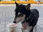 クアアイナ KUA `AINA 横浜赤レンガ倉庫店: 96480さんの2026年04月16日の1枚目の投稿写真