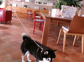 ＤＯＧ・ＤＥＰＴ・ＧＡＲＤＥＮ・ＲＥＳＯＲＴ・湘南江ノ島: 96480さんの2026年04月16日の3枚目の投稿写真