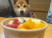 Lani Burger Shonan ラニバーガーショウナン: 96480さんの2026年07月15日の1枚目の投稿写真