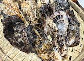 牡蠣小屋&海鮮 BBQ はまさき商店: ここパパさんの2025年07月02日の1枚目の投稿写真