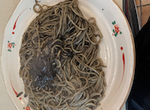 キクヤスカフェ: riさんの2026年10月09日の1枚目の投稿写真