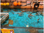 ジャンボ釣船 つり吉 難波店: ゆきまるさんの2026年04月19日の1枚目の投稿写真