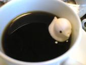 川原町屋: Monさんの2007年08月12日の1枚目の投稿写真