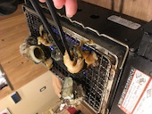 九州魂 米子店: もりさんの2018年03月30日の1枚目の投稿写真
