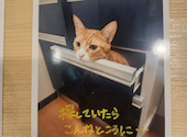 猫ダイニングA caT エーキャット: yud.f.kさんの2025年08月31日の1枚目の投稿写真