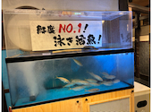 海鮮居酒屋 魚鮮水産 新横浜駅前店: フカミンさんの2026年04月23日の1枚目の投稿写真