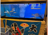 さかなや道場　湘南台東口店: フカミンさんの2026年05月の1枚目の投稿写真