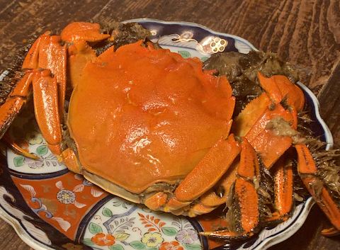 フォレスト商会 白金店: エリンギさんの2021年10月19日の2枚目の投稿写真