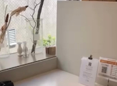 uzna omom: ちゃんさんの2026年05月11日の3枚目の投稿写真