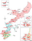 沖縄厨房『ゆんたく』: ちょい不良おやじさんの2009年11月09日の3枚目の投稿写真