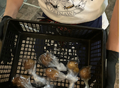 沖縄食堂 ハイサイ なんばこめじるし店: 月lunaさんの2026年03月30日の2枚目の投稿写真