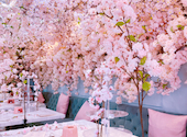 オートクチュールカフェ HAUTE COUTURE CAFE: すぴるかさんの2023年03月04日の3枚目の投稿写真