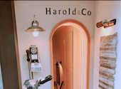 ハロルド&コー Harold&Co: ☆さんの2026年04月11日の1枚目の投稿写真