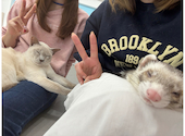 Cat&Animal Cafe Noah s Ark ノアズアーク 祇園店: るるさんの2026年03月24日の2枚目の投稿写真