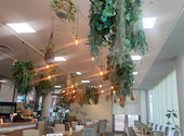 FARMERS GARDEN Cafe オムレット 大府allobu店: ぶんちゃんさんの2026年09月06日の2枚目の投稿写真