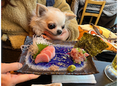 炉端焼きと地鶏専門店　うまか屋　赤羽: うさぎさんの2026年02月の1枚目の投稿写真