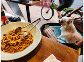 Italian Kitchen VANSAN 石神井公園店: うさぎさんの2026年07月05日の3枚目の投稿写真