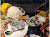 Italian Kitchen VANSAN 石神井公園店: うさぎさんの2026年09月03日の3枚目の投稿写真