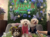 Latere Garden(ラテレガーデン)横浜: あいさんの2026年04月29日の1枚目の投稿写真
