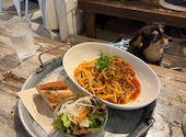 Kobe harbor kitchen Haji コウベハーバーキッチン ハジ: ほちおくんさんの2026年05月04日の2枚目の投稿写真