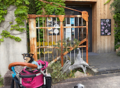 Kobe harbor kitchen Haji コウベハーバーキッチン ハジ: ほちおくんさんの2026年05月04日の3枚目の投稿写真