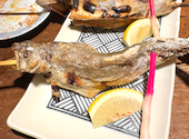 小川の魚: シロさんの2026年09月05日の3枚目の投稿写真