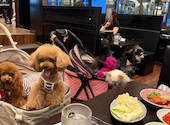 和牛焼肉 大阪会館: じょせさんの2026年07月26日の1枚目の投稿写真